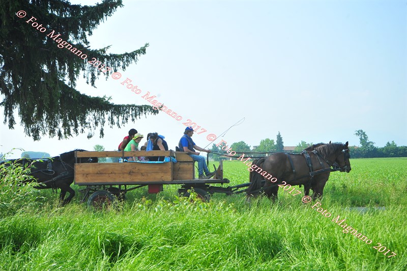 DSC_0823.JPG